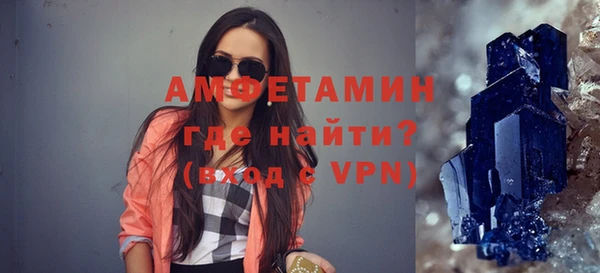 стаф Алзамай
