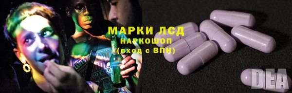 ПСИЛОЦИБИНОВЫЕ ГРИБЫ Алексин