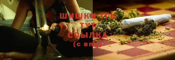 ПСИЛОЦИБИНОВЫЕ ГРИБЫ Алексин