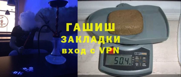 стаф Алзамай