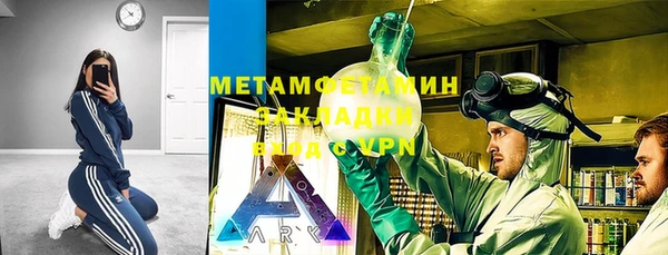 стаф Алзамай