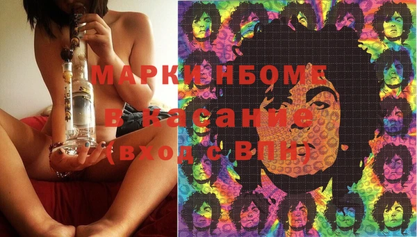 стаф Алзамай